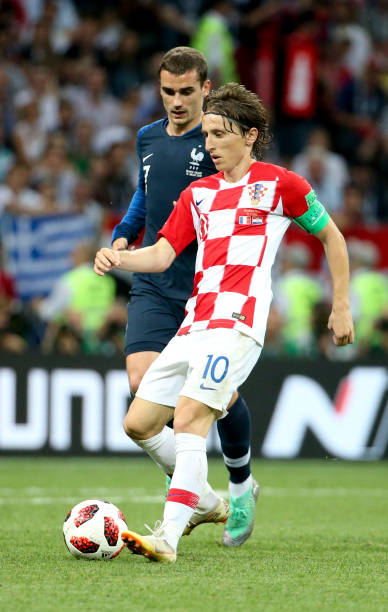 剖析本届骏 剖析本届骏